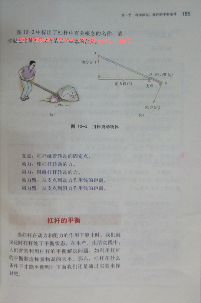 《10.1科学探究:杠杆的平衡条件》2