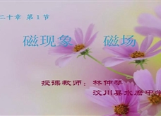 人教版九年级物理《20.1磁现象 磁场》展示课课堂实录1（林中琴）