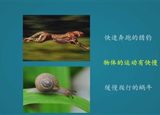 【名校名师微课】八年级物理核心知识名师讲解视频：运动的快慢